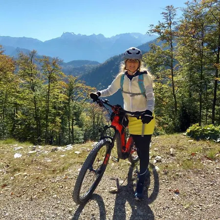 Apartamento Kogelblick Ebensee