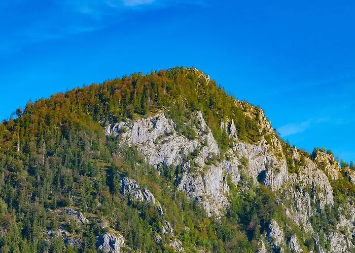 Διαμέρισμα Kogelblick