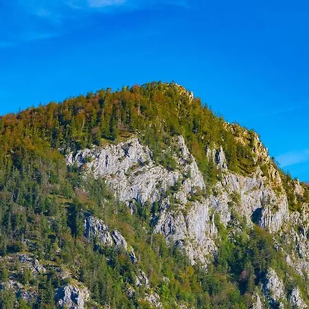 Appartement Kogelblick