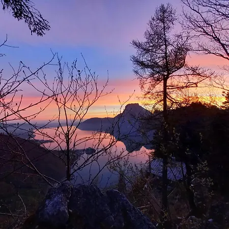 Kogelblick *