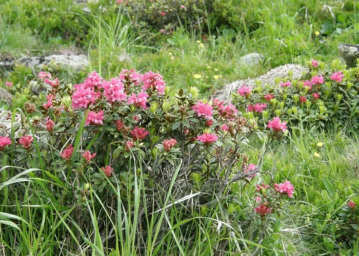 Kogelblick 埃本湖